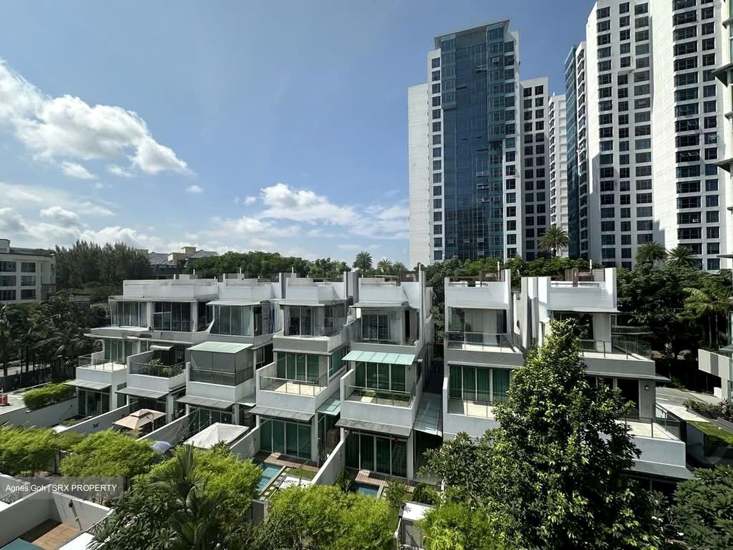 The Vision (D5), Terrace #564757291